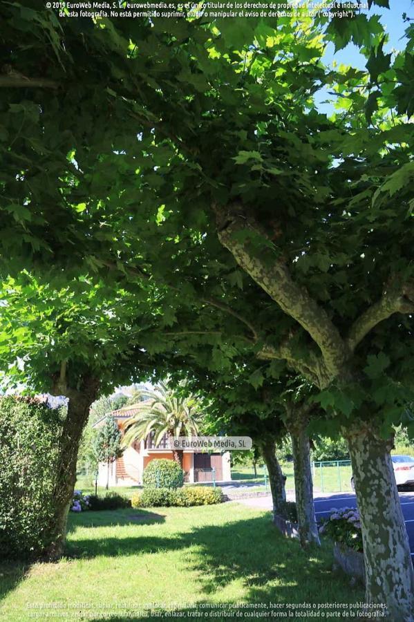 El Puentin Del Sella Con Wifi Y Parking Gratuito Apartment Cangas de Onis Bagian luar foto