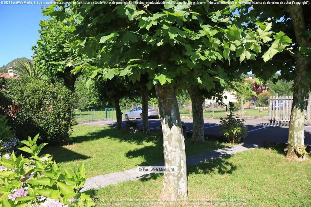 El Puentin Del Sella Con Wifi Y Parking Gratuito Apartment Cangas de Onis Bagian luar foto